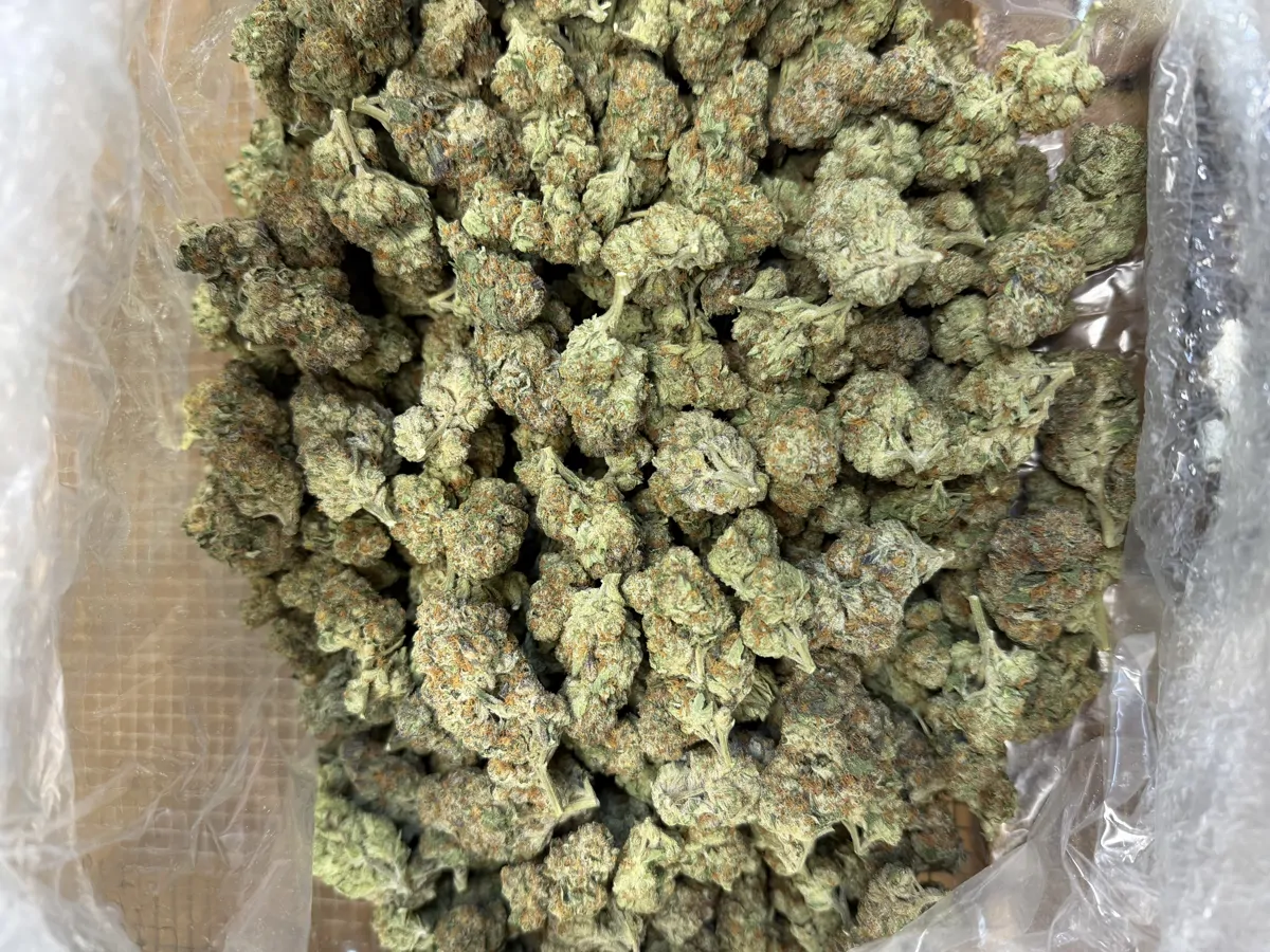 Gushers Flower
